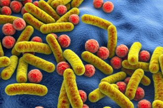 Doxycycline increases antimicrobial resistance in the gut without disrupting microbiome diversity