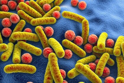 Doxycycline increases antimicrobial resistance in the gut without disrupting microbiome diversity