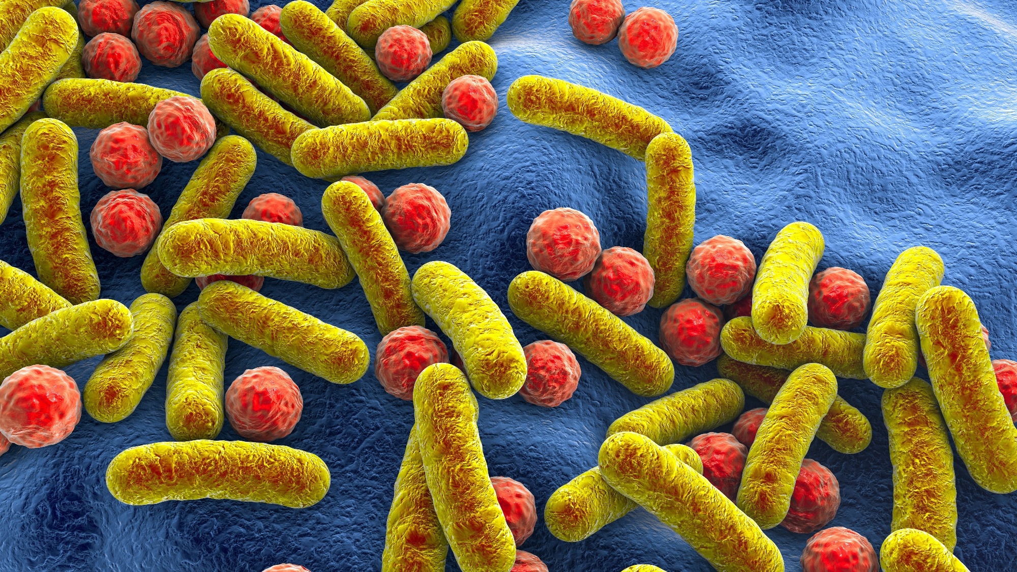 Doxycycline increases antimicrobial resistance in the gut without disrupting microbiome diversity