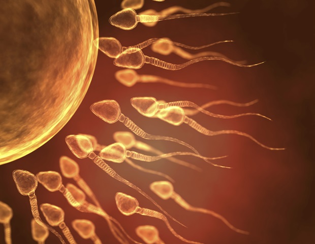 Fertility warning: SARS-CoV-2 can linger in sperm for months after infection