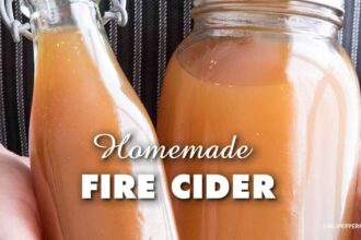 Homemade Fire Cider Recipe