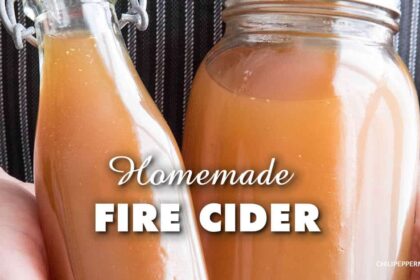 Homemade Fire Cider Recipe