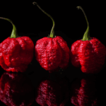 The Hottest Peppers In The World