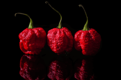 The Hottest Peppers In The World