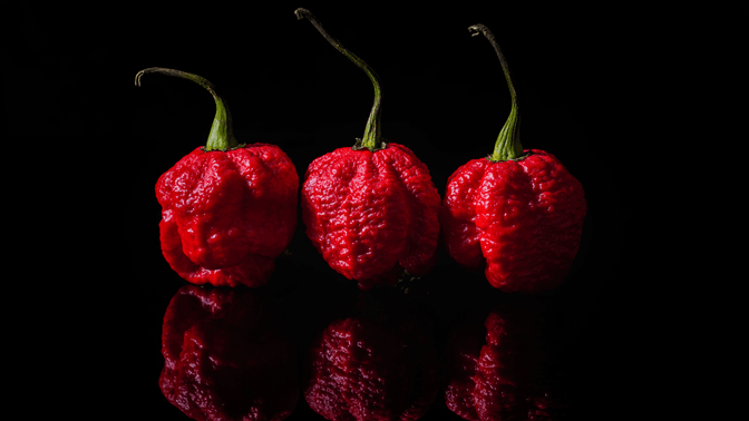 The Hottest Peppers In The World