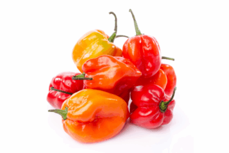 Hot Sauce Day 2025 – 25% Discount Today Only!