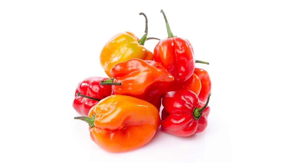 Hot Sauce Day 2025 – 25% Discount Today Only!