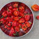 Trinidad Scorpion: the fiery pepper for true heat lovers