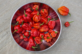 Trinidad Scorpion: the fiery pepper for true heat lovers