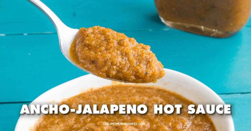 Ancho-Jalapeno Hot Sauce Recipe