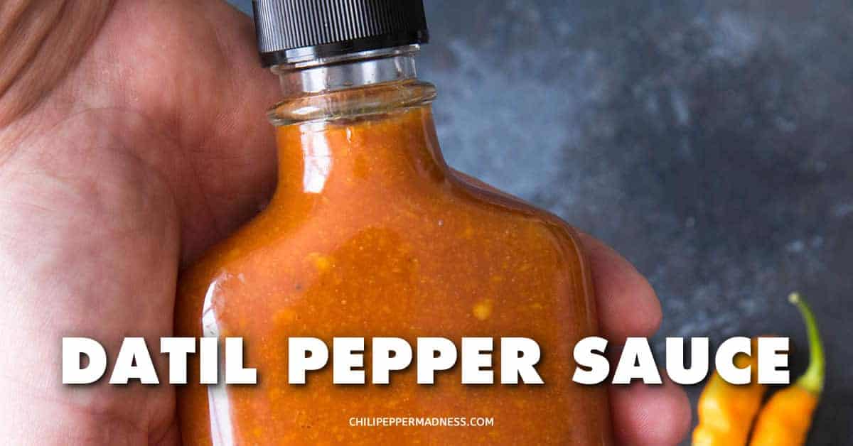 Datil Pepper Sauce