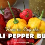 How Do You Stop the Chili Pepper Burn?
