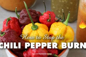 How Do You Stop the Chili Pepper Burn?