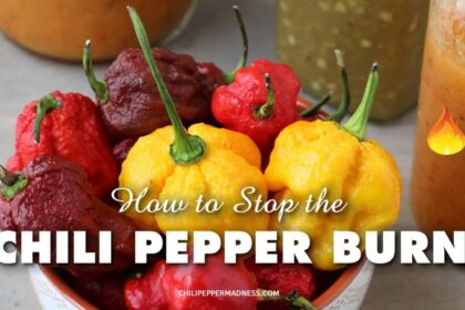 How Do You Stop the Chili Pepper Burn?