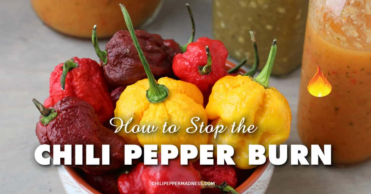 How Do You Stop the Chili Pepper Burn?