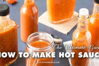 How to Make Hot Sauce – The Ultimate Guide